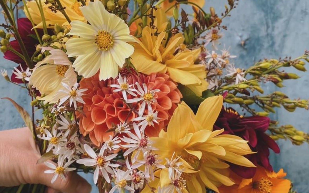 Växtverk blommor