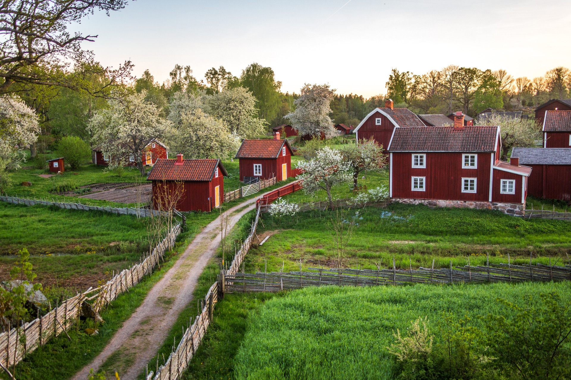 Vybild över Kulturreservatet Stensjö by på röda hus med vita knutar och gärdesgårdar. Försommarbild.