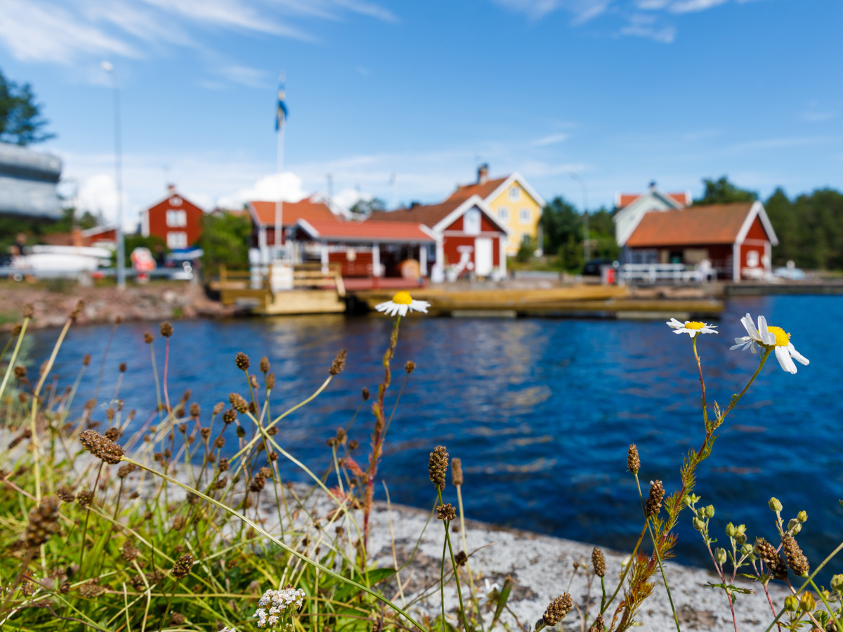 Bild på havet och flera hus som skymtar i Oskarshamn