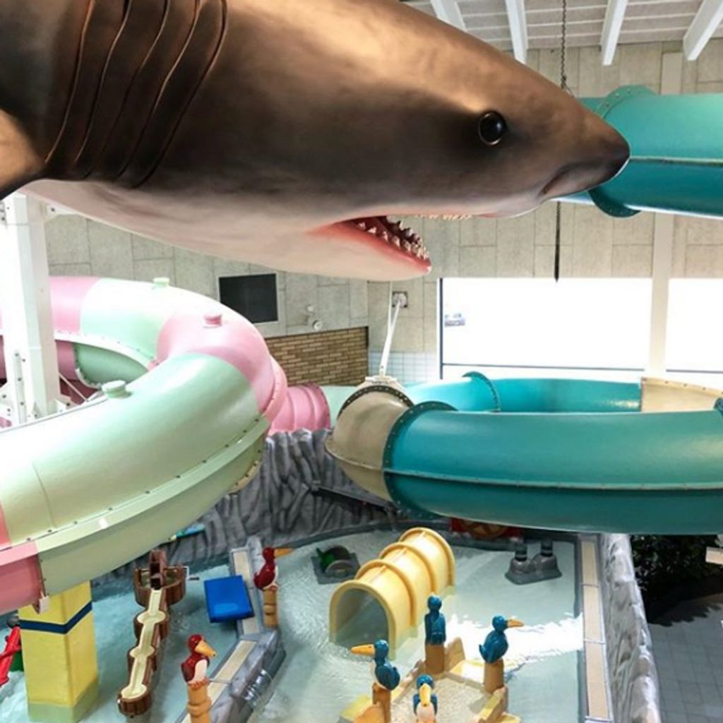 Närbild på låtsashaj och rutschkanor på äventyrsbadet Arena Oskarshamn