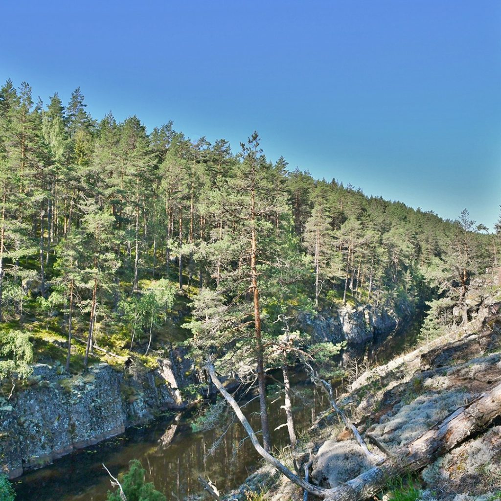 Vattendrag mellan två skogsbevuxna klippsidor i Högsby kommun.