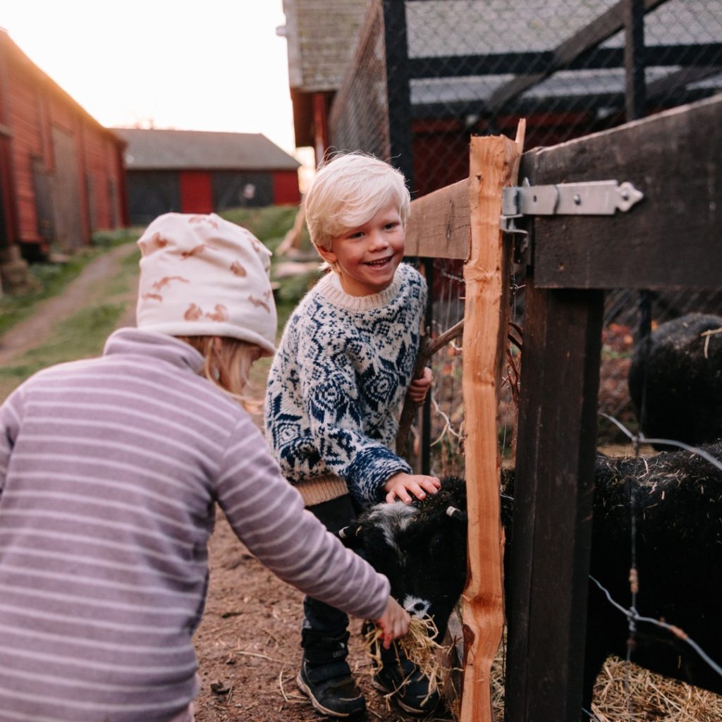 Barn som klappar får i Stensjö by