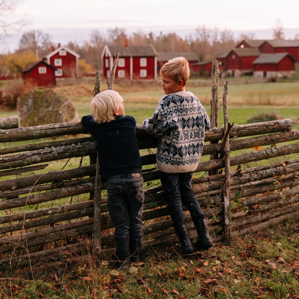 Barn vid gärdesgård i Stensjö by