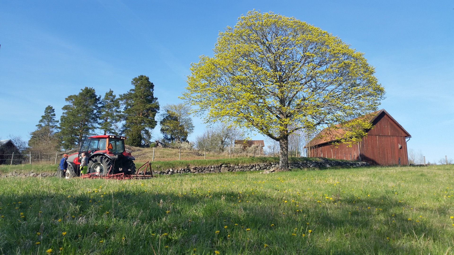 Vybild över Hycklinge hage. Oskarshamn.