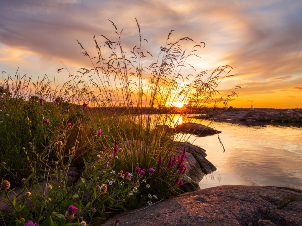 Solnedgång över havet med blommor och klippor framför